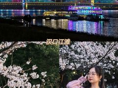 -武汉大学-樱园