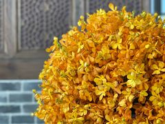 -广州柏悦酒店·悦景轩·粤菜餐厅