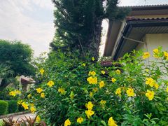 -厦门悦华酒店