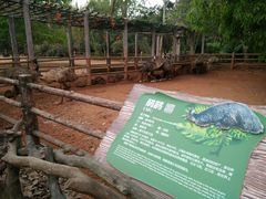 -海南热带野生动植物园
