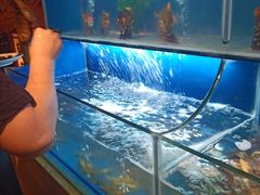 -芭菲盛宴·环球美食(北城国际店)