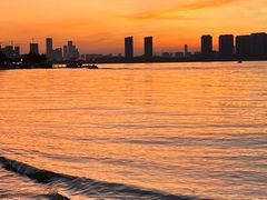 -瑶湖郊野森林公园