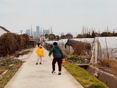 -小鱼草莓采摘园农家乐·小鱼餐厅