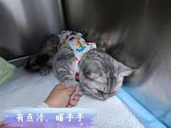 -福州肆爪动物医院