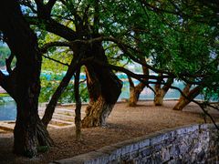 -抚仙湖禄充风景区
