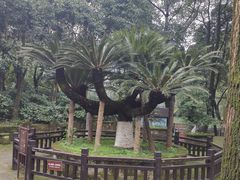 -重庆抗战遗址博物馆