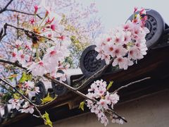 -醍醐寺
