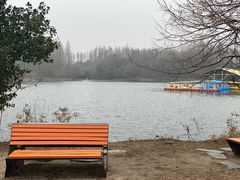 -东平国家森林公园
