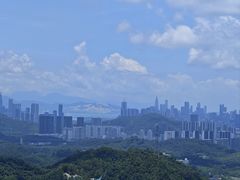 -深圳野生动物园