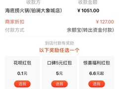 -海底捞火锅(铂澜大象城店)