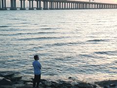 -宝安西湾红树林湿地公园