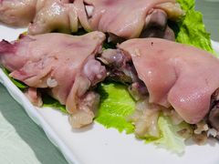 -丁老爷子苏香圆
