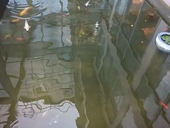 -锦江都城闵行饭店