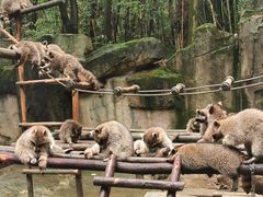 -杭州野生动物世界