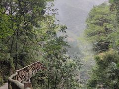 -鹿院坪生态旅游景区