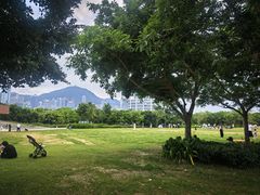 -九龙公园