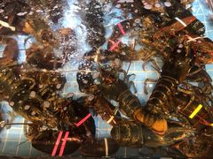 -79号渔船海鲜饭店(宝安店)