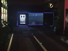 -万达影城(闵行颛桥万达广场杜比影院店)