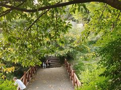 -成都市活水公园