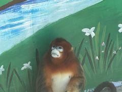 -西霞口神雕山野生动物世界