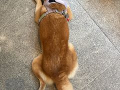 -三目仓咖啡(贤南路店)