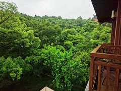 -杭州花家山庄