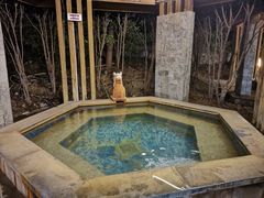 -金凤凰温泉度假村·凤凰汇中餐厅