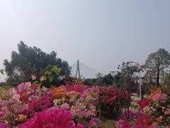 -芒洲湿地公园