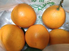 -比格比萨自助(德思勤四季汇店)