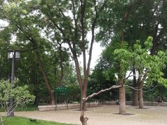-玲珑塔公园