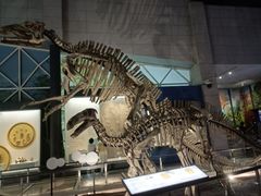 -湖南省地质博物馆