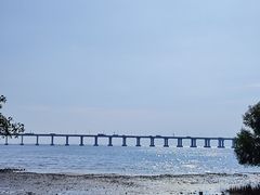 -宝安西湾红树林湿地公园