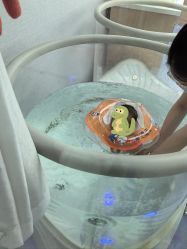 -弗蕾亚·和月月子调理院(东湖店)