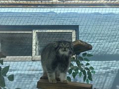 -青藏高原野生动物园