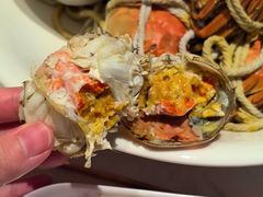 -杨氏青龙虾·羊蝎子(金盛路总店)