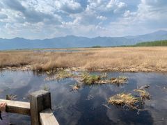 -野鸭湖国家湿地公园
