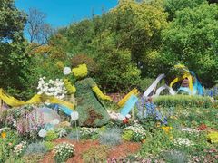 -上海共青森林公园