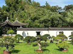 -扬州大运河文化旅游度假区·盆景园