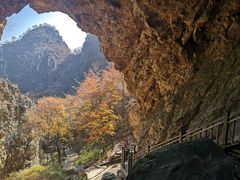 -大连天门山国家森林公园
