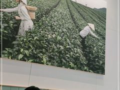 -奈雪的茶(优特汇店)