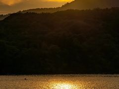-佛手湖郊野公园