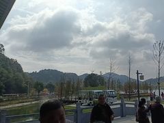 -千年银杏谷文化旅游区