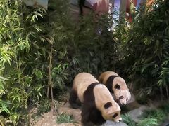 -武汉园博园(武汉自然博物馆)