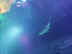 -沈阳海洋探索中心