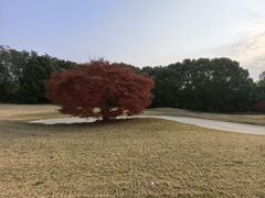 -旭宝高尔夫俱乐部