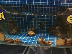 -北李妈妈菜·海肠捞饭(高新万达店)