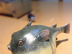-达摩君日本料理(泰海花园小区店)