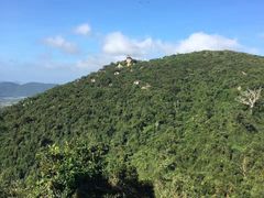 -三亚亚龙湾人间天堂鸟巢度假村