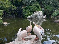 -昆明动物园