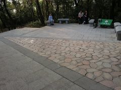 -火炉山森林公园